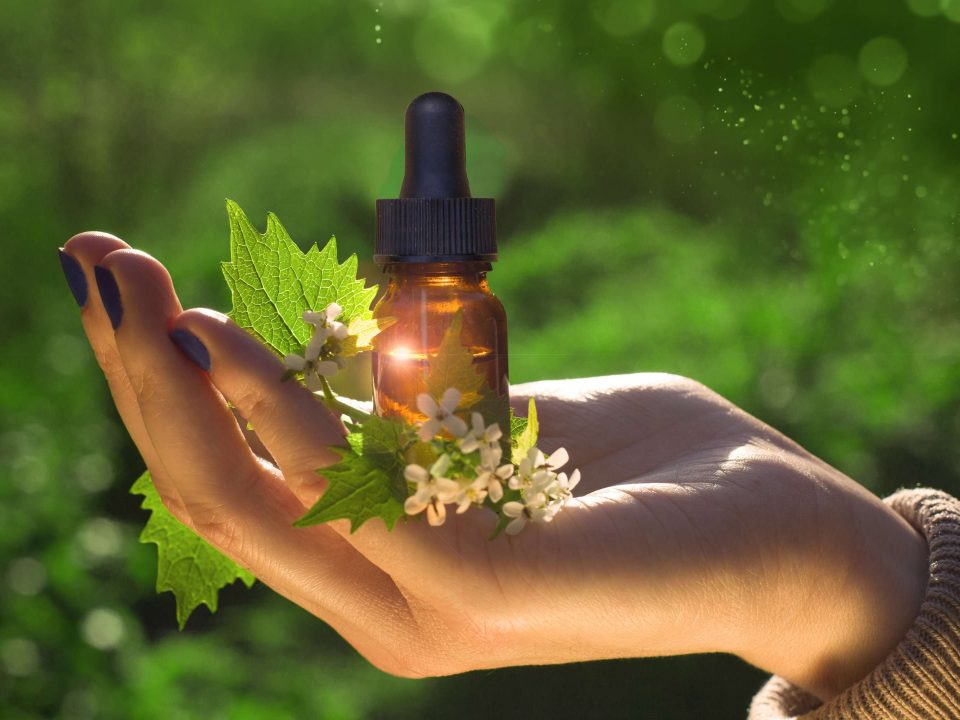 Curso em Fitoterapia - Academia PHARMABSC