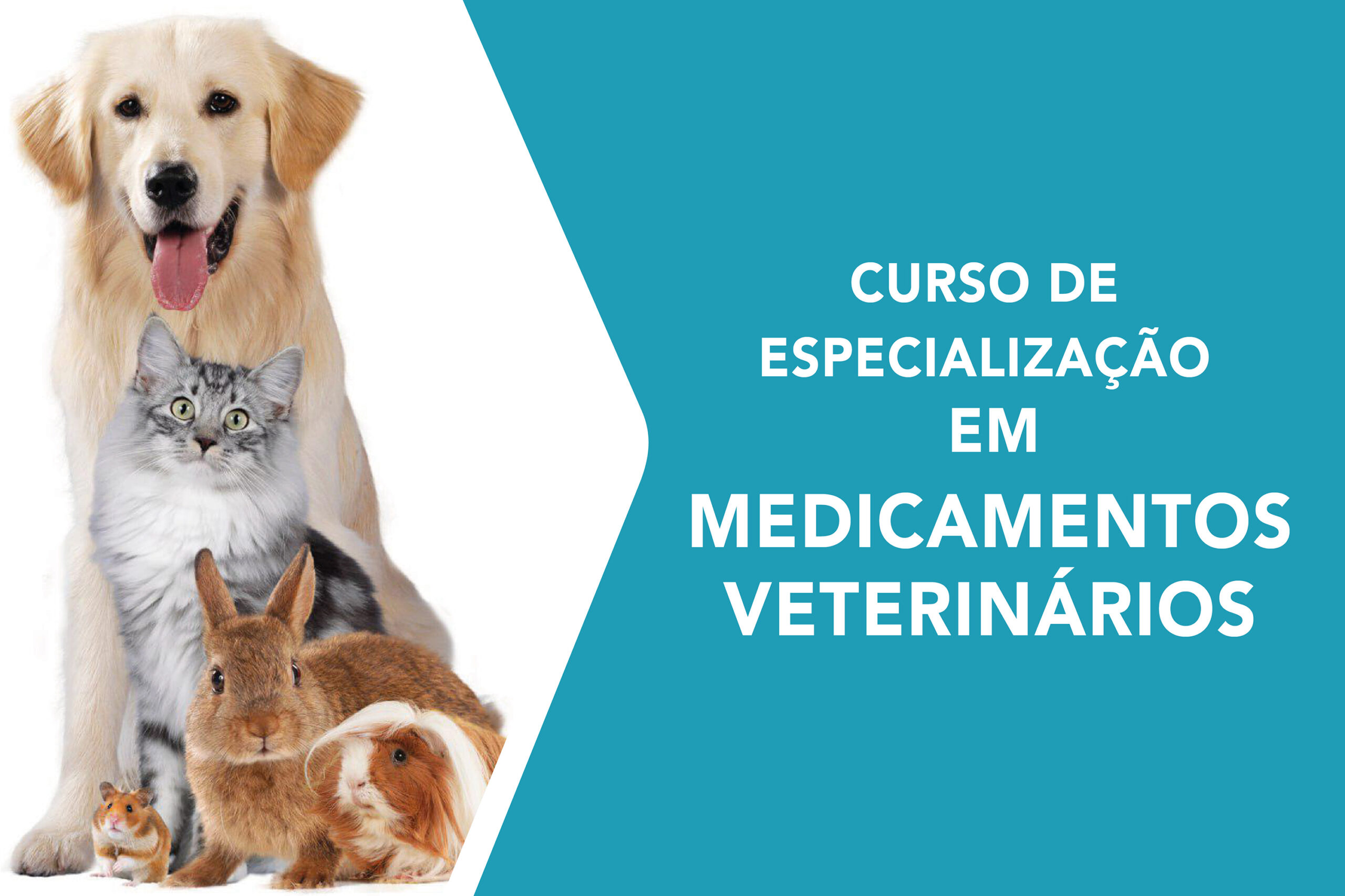 PharmaBSC_LayoutsFormacoesSite