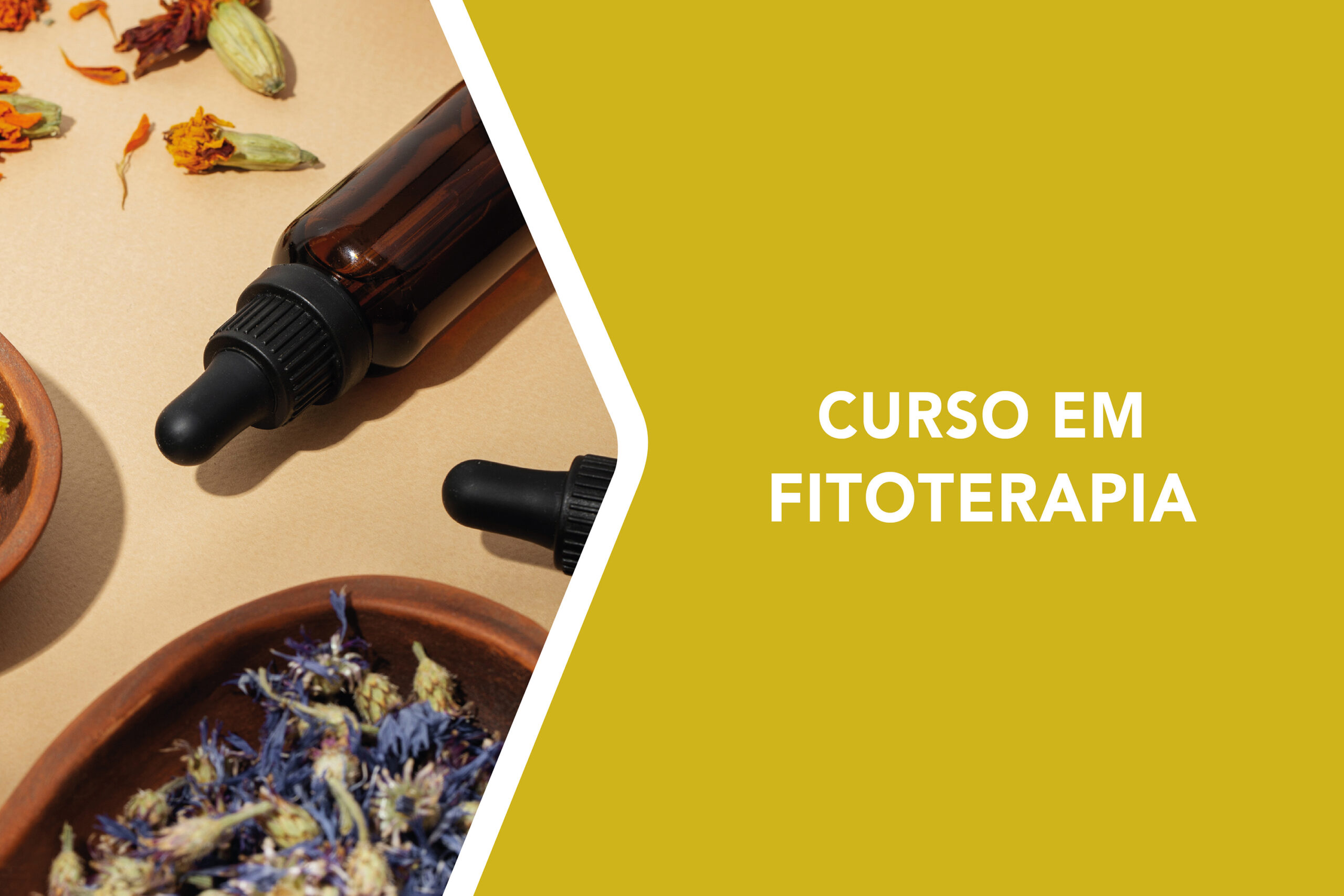 PharmaBSC_LayoutsFormacoesSite